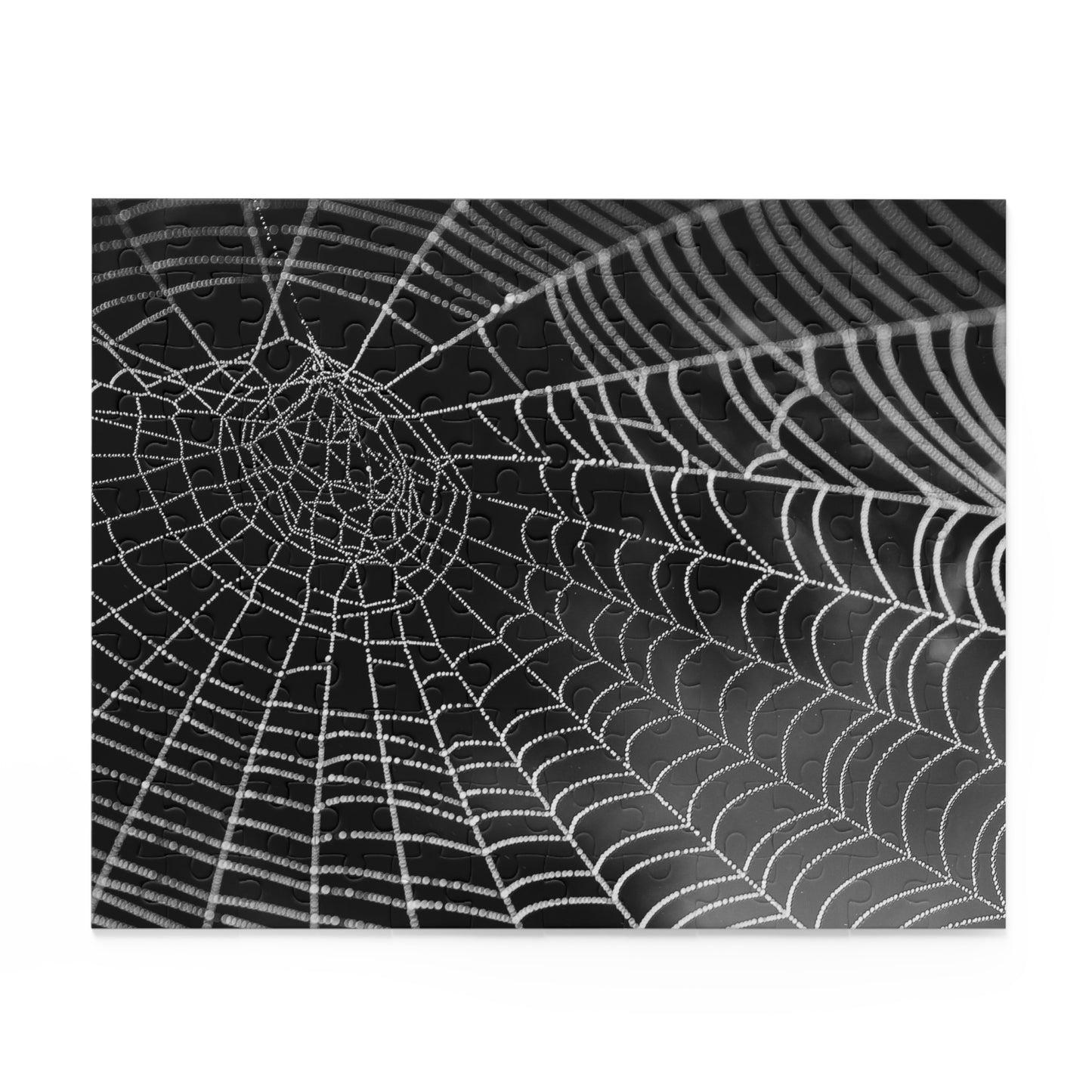 Spider Web Puzzle