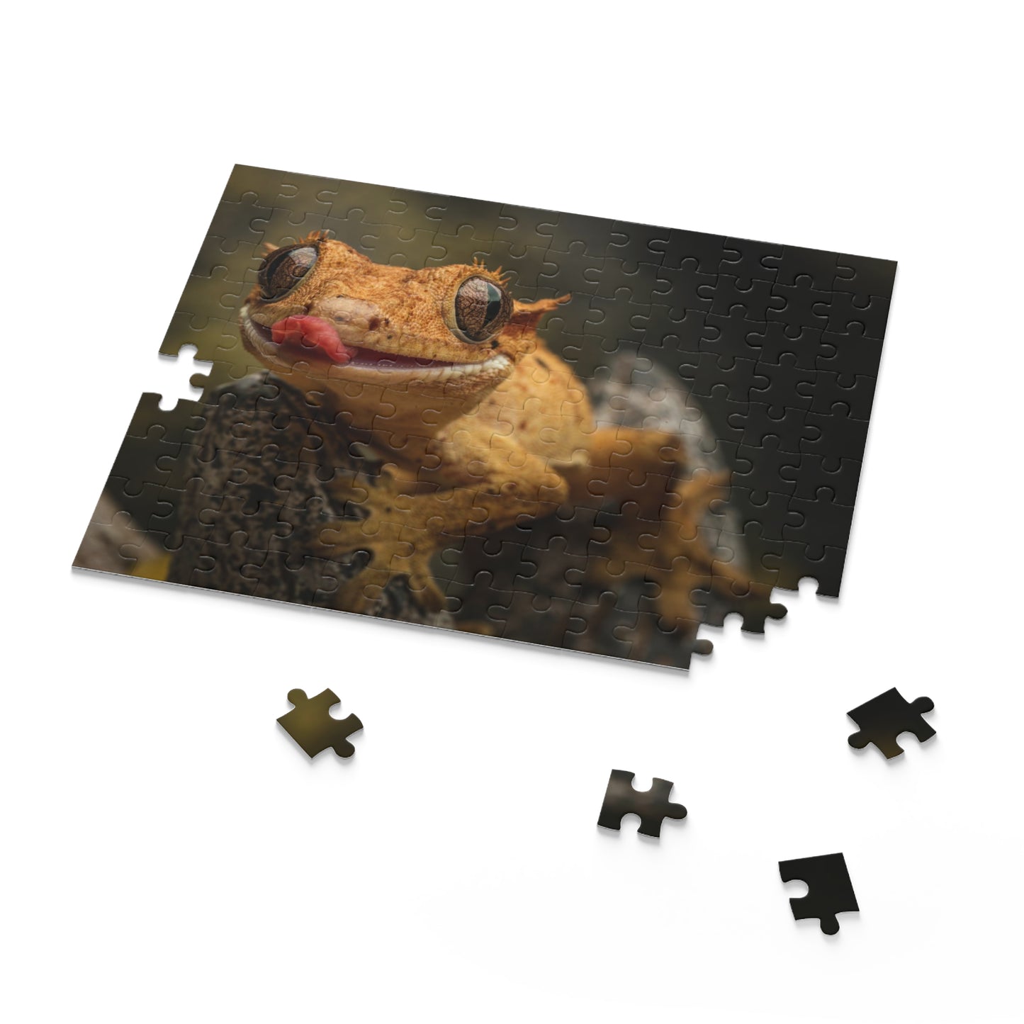 Crested Gecko Puzzle