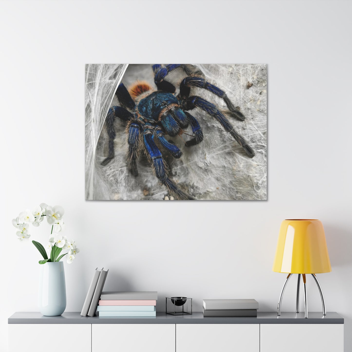 Tarantula Canvas