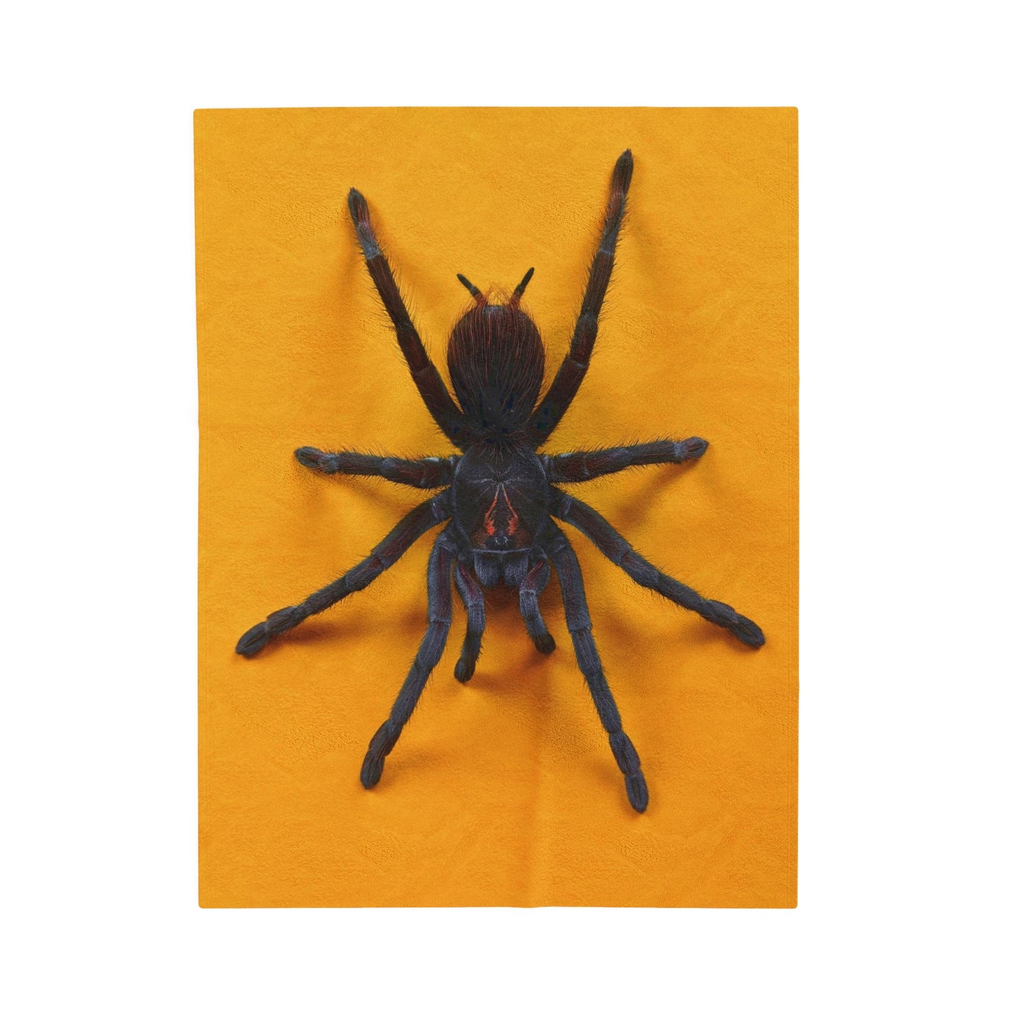 Tarantula Plush Blanket