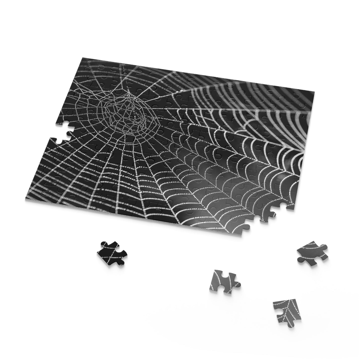 Spider Web Puzzle