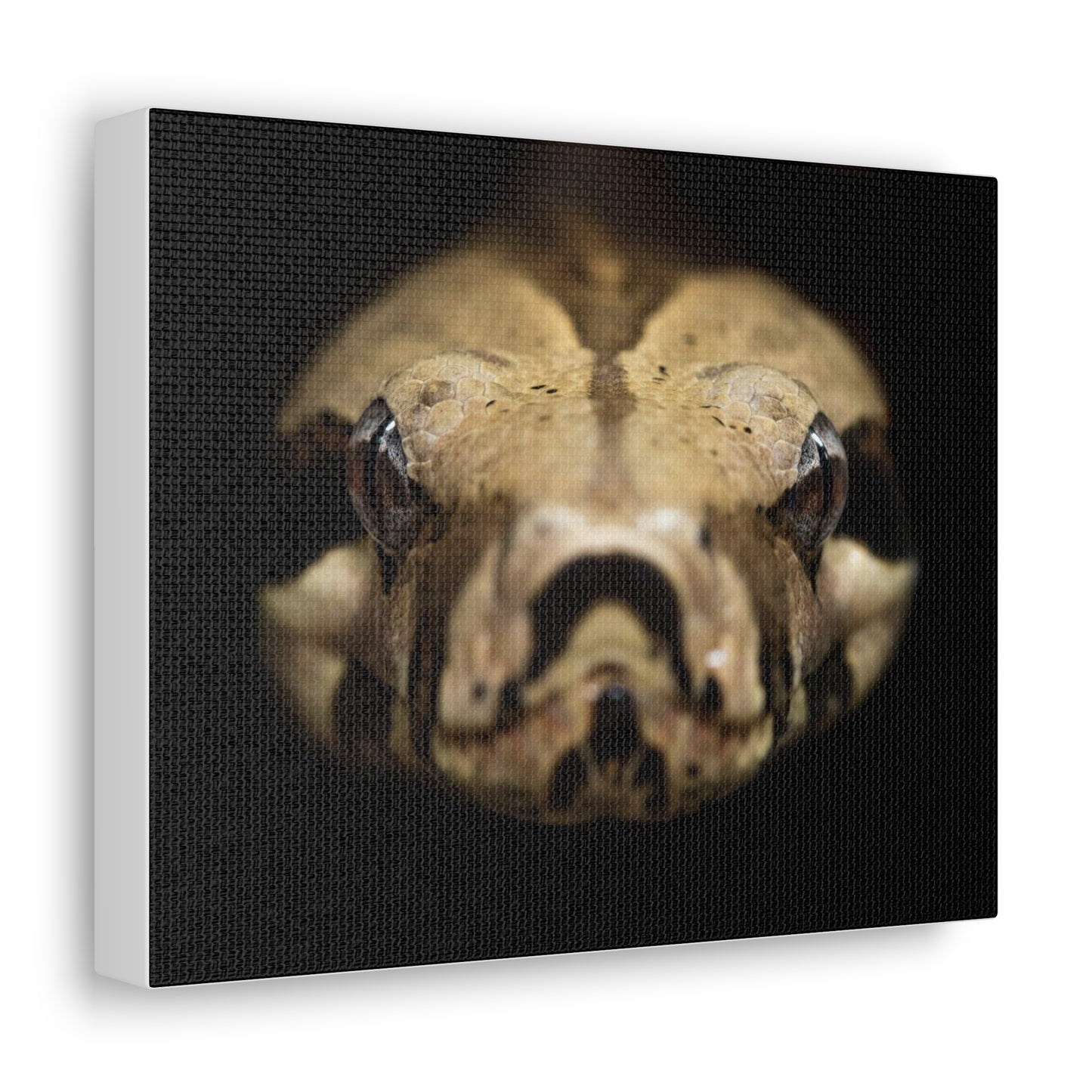 Snake Canvas