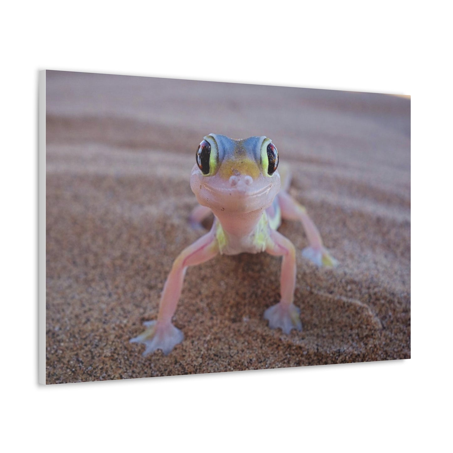 Baby Gecko Canvas