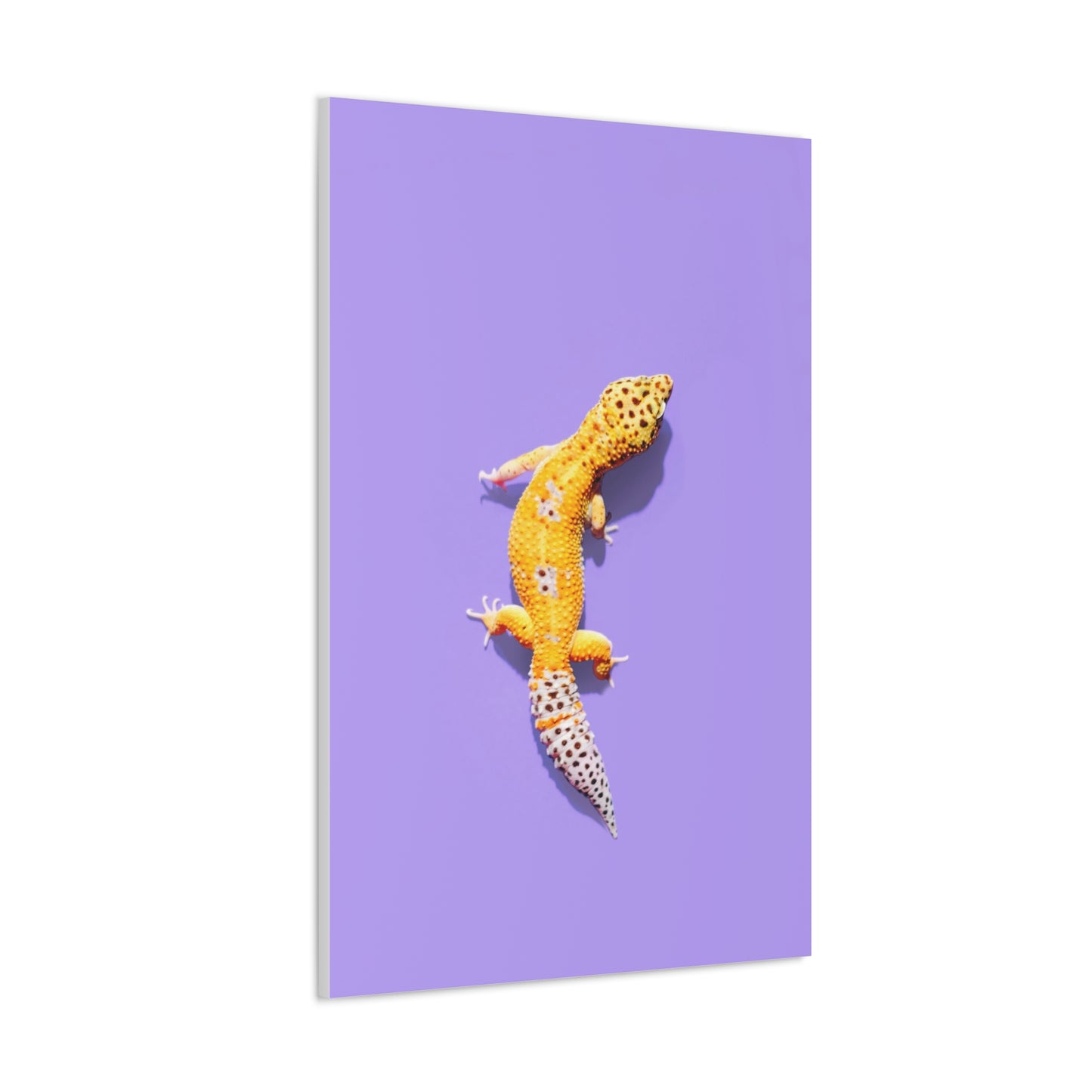 Leopard Gecko Canvas