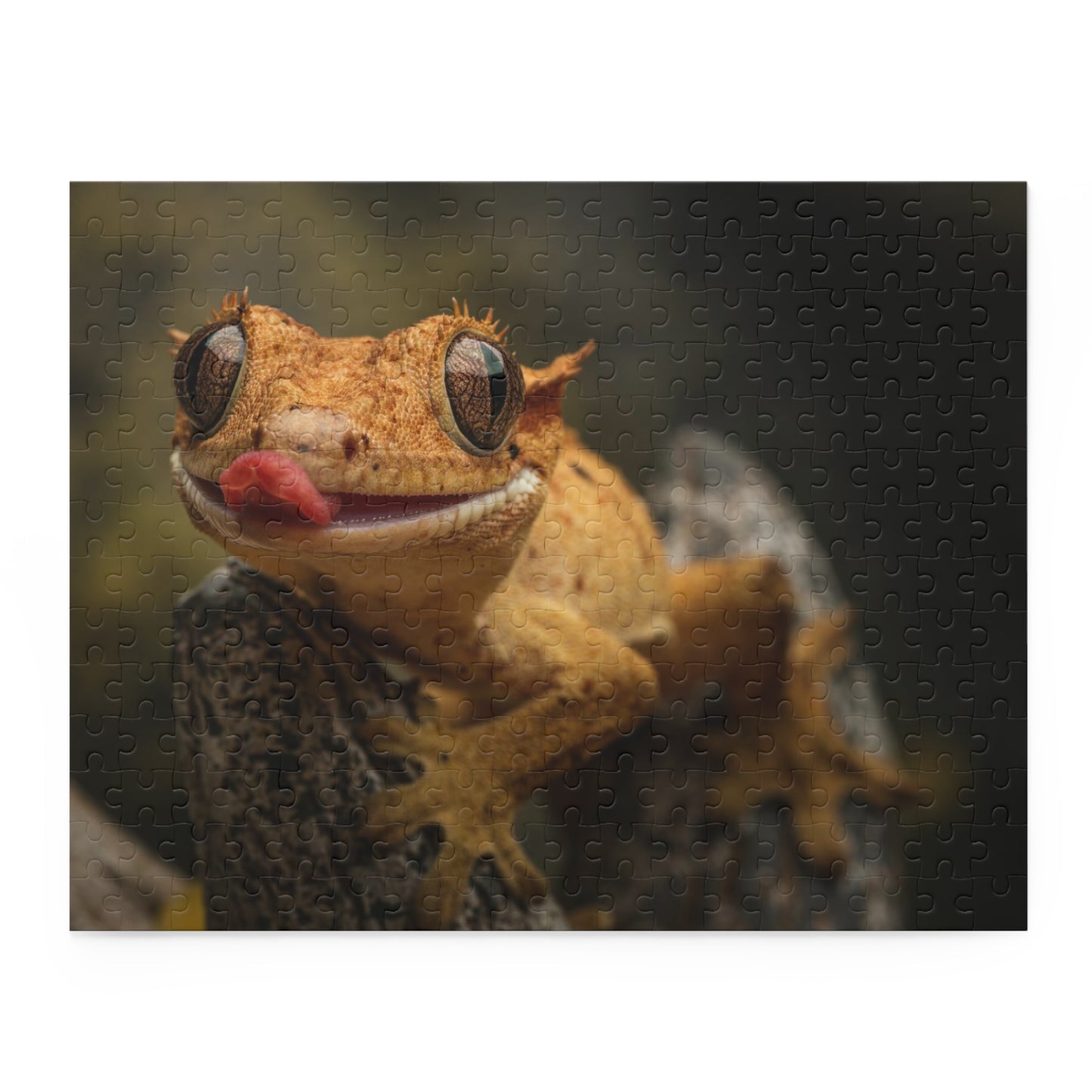 Crested Gecko Puzzle