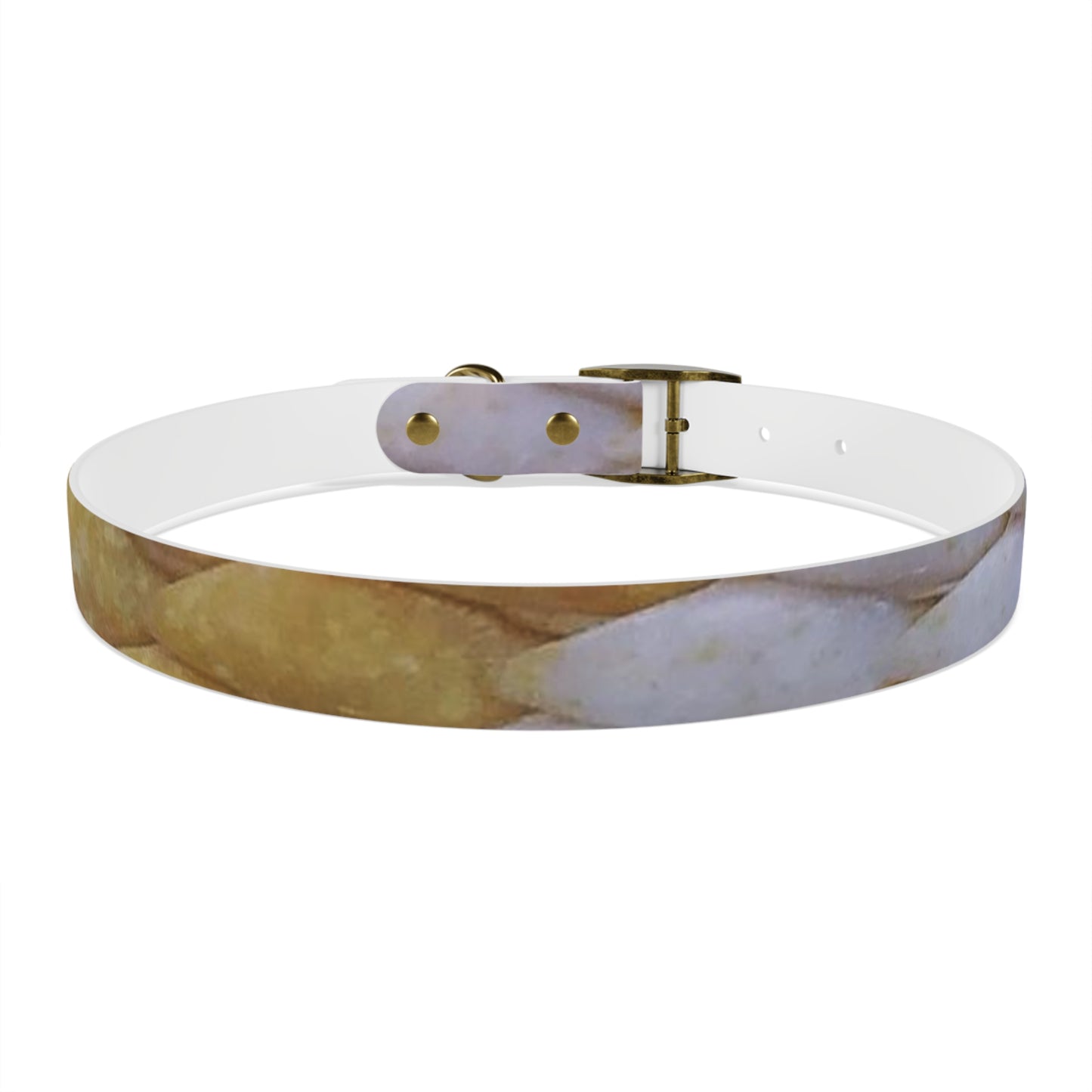 Yellow Snake Skin Collar