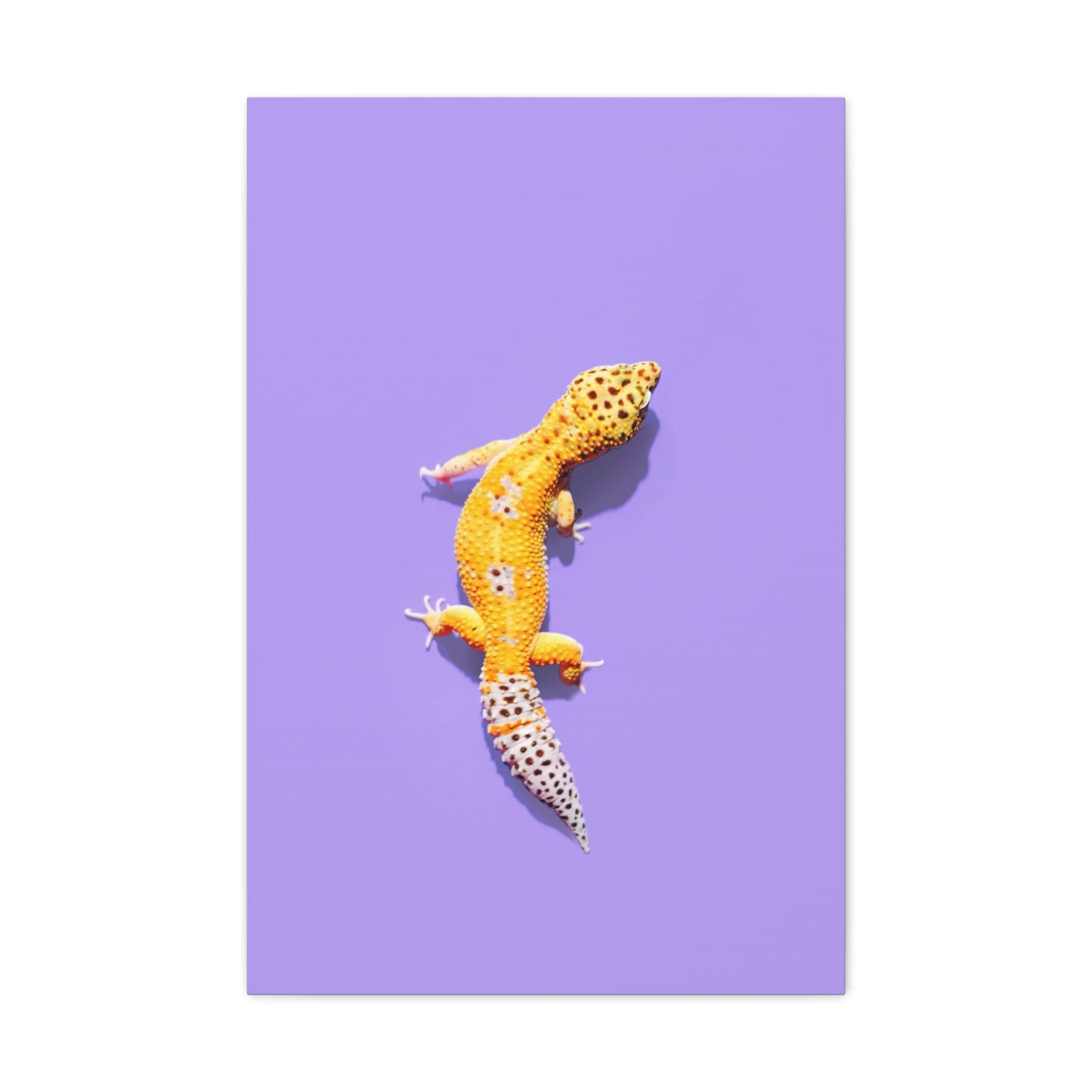 Leopard Gecko Canvas