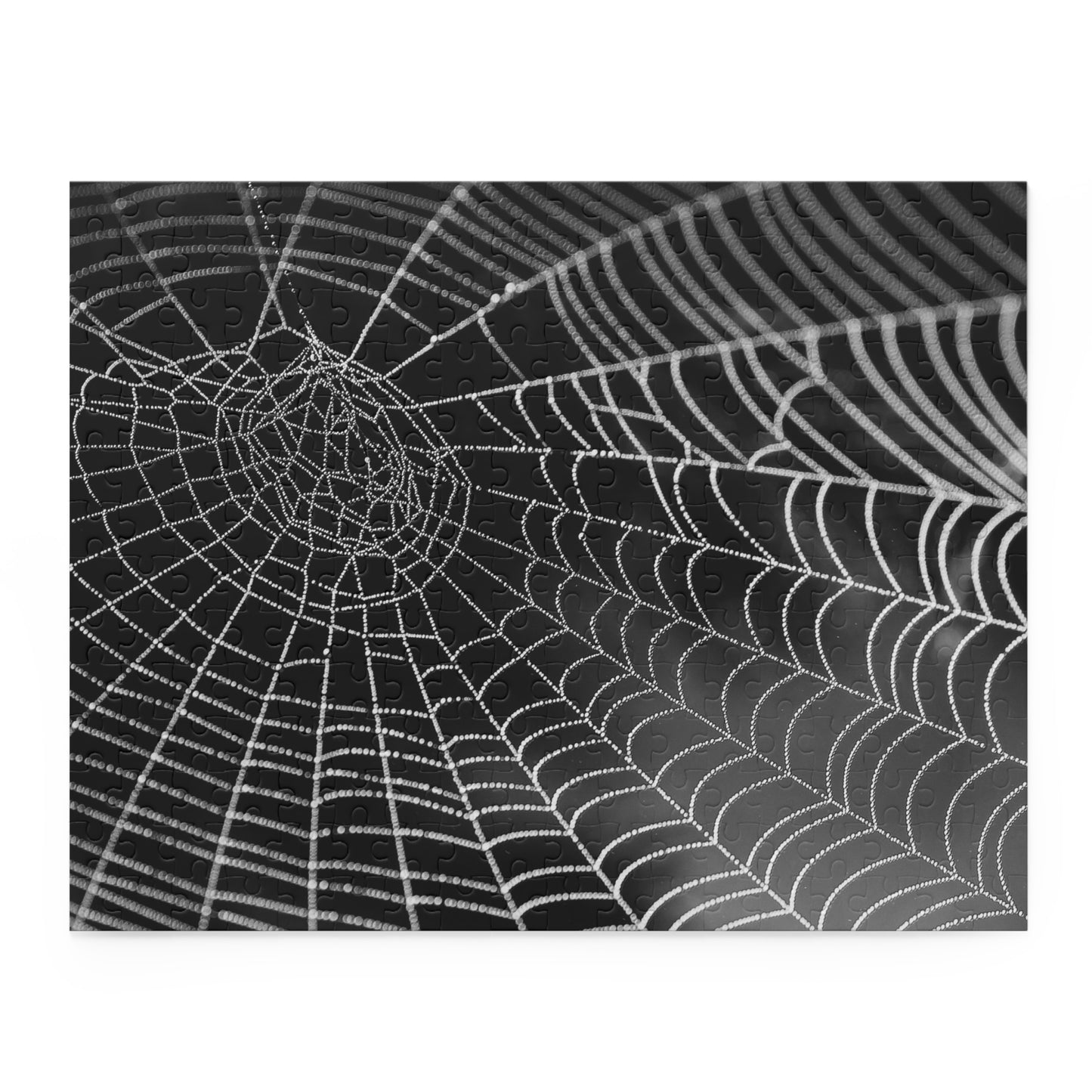 Spider Web Puzzle