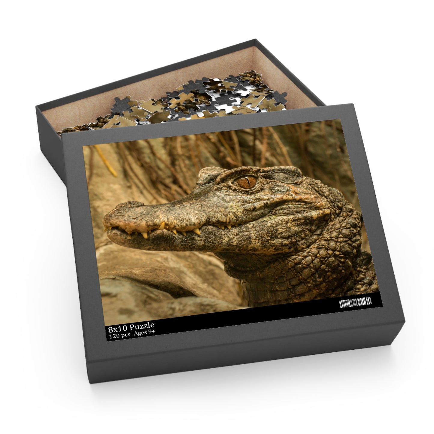 Alligator Puzzle