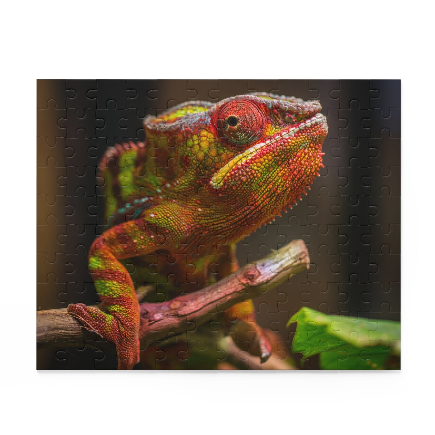 Chameleon Puzzle