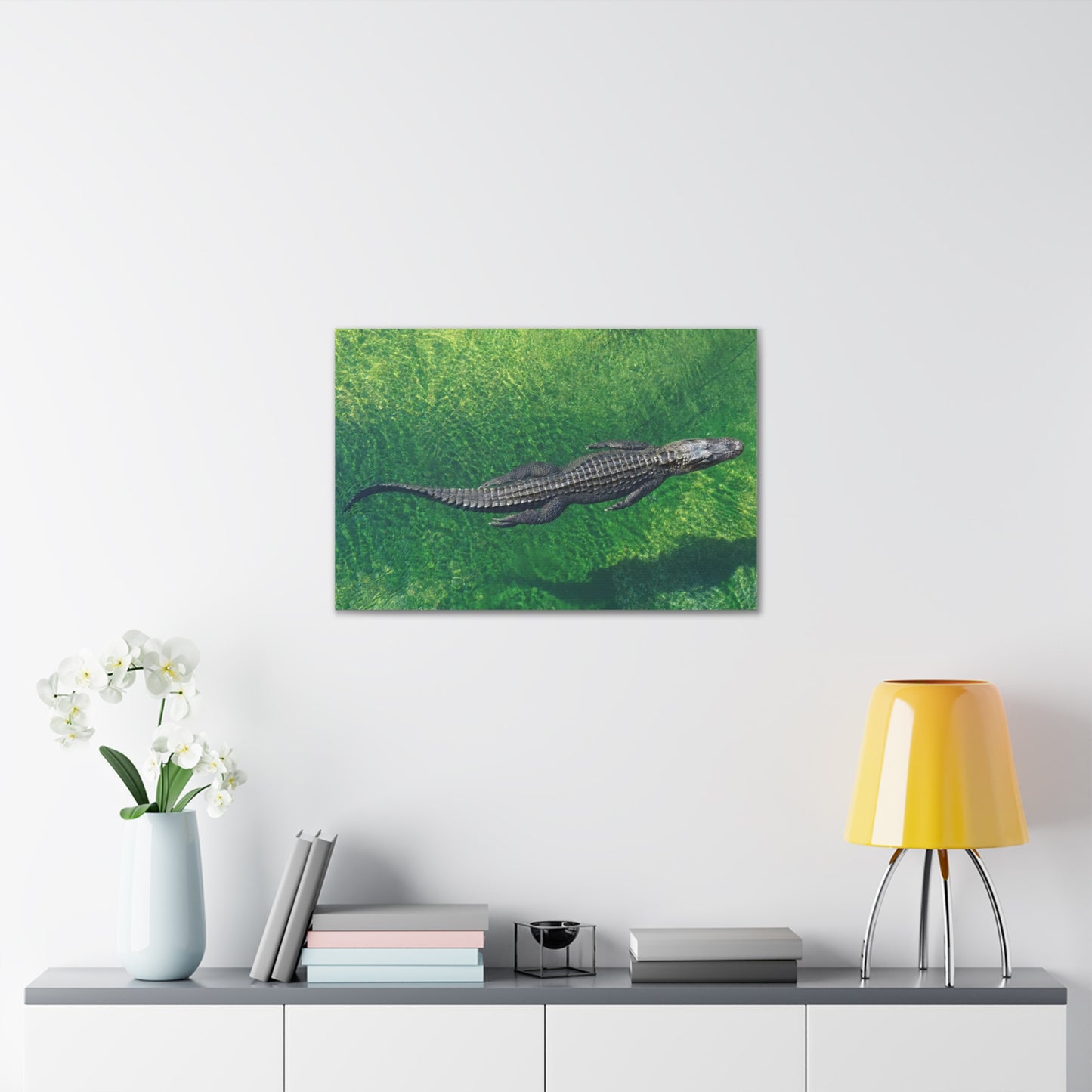 Alligator Canvas