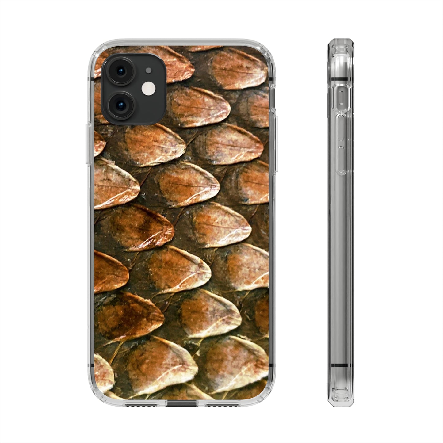 Bearded Dragon Phone Cases