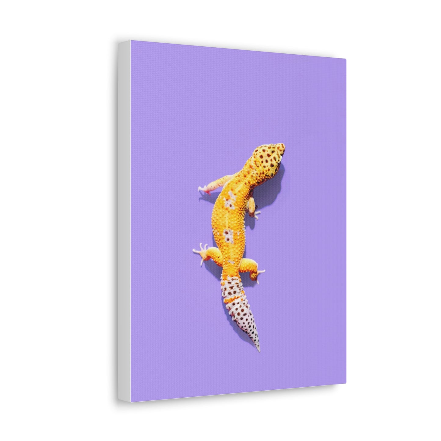 Leopard Gecko Canvas