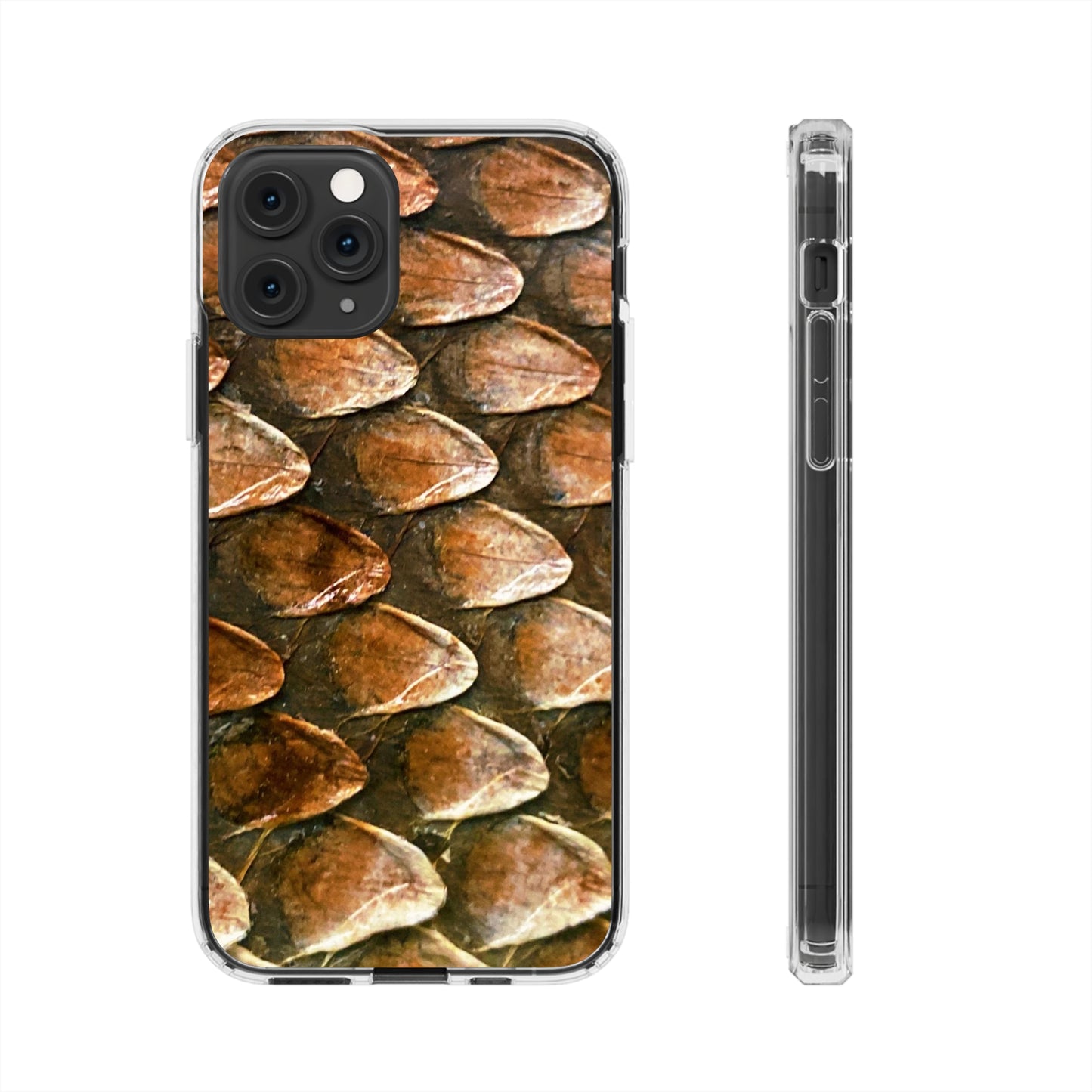 Bearded Dragon Phone Cases