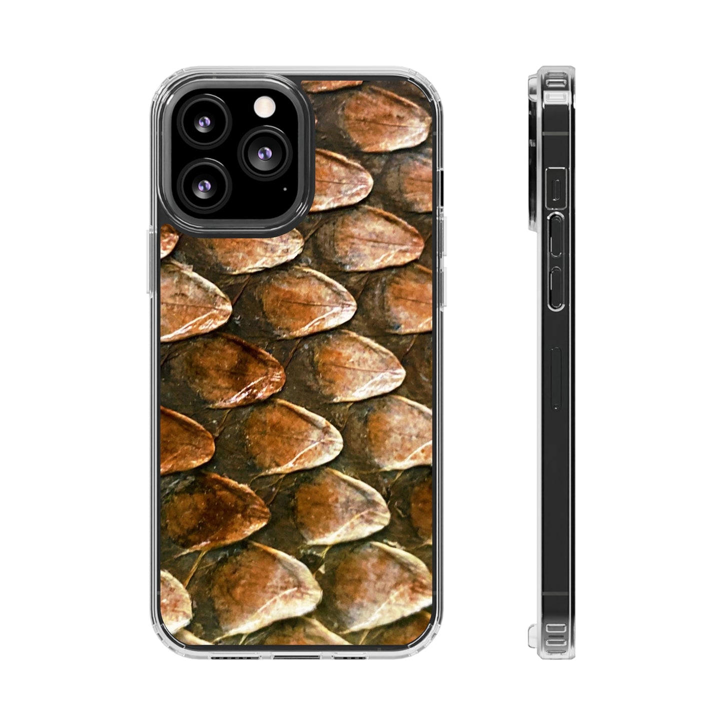 Bearded Dragon Phone Cases