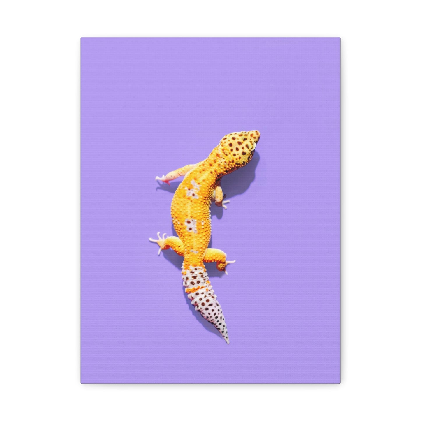 Leopard Gecko Canvas