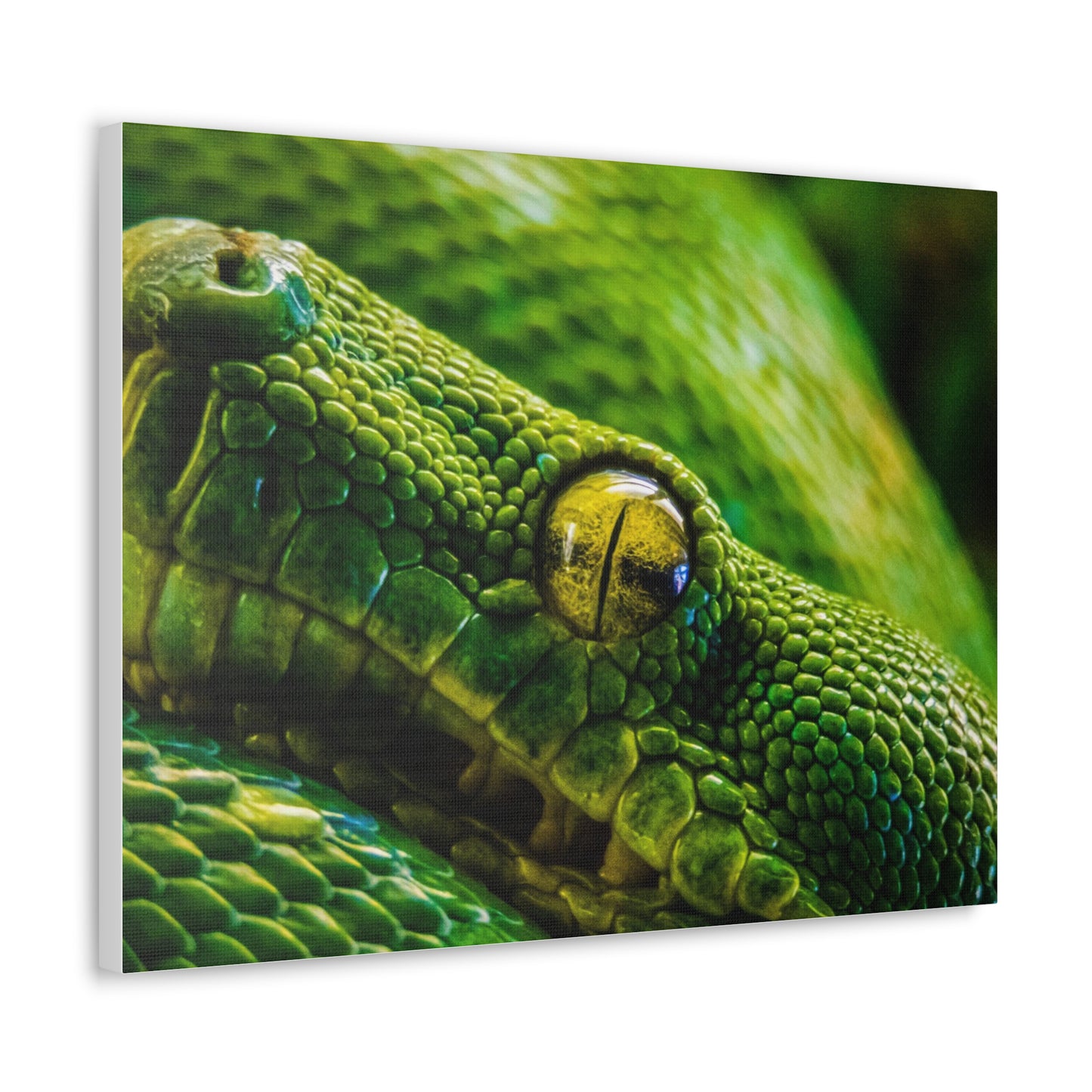 Green Snake Canvas