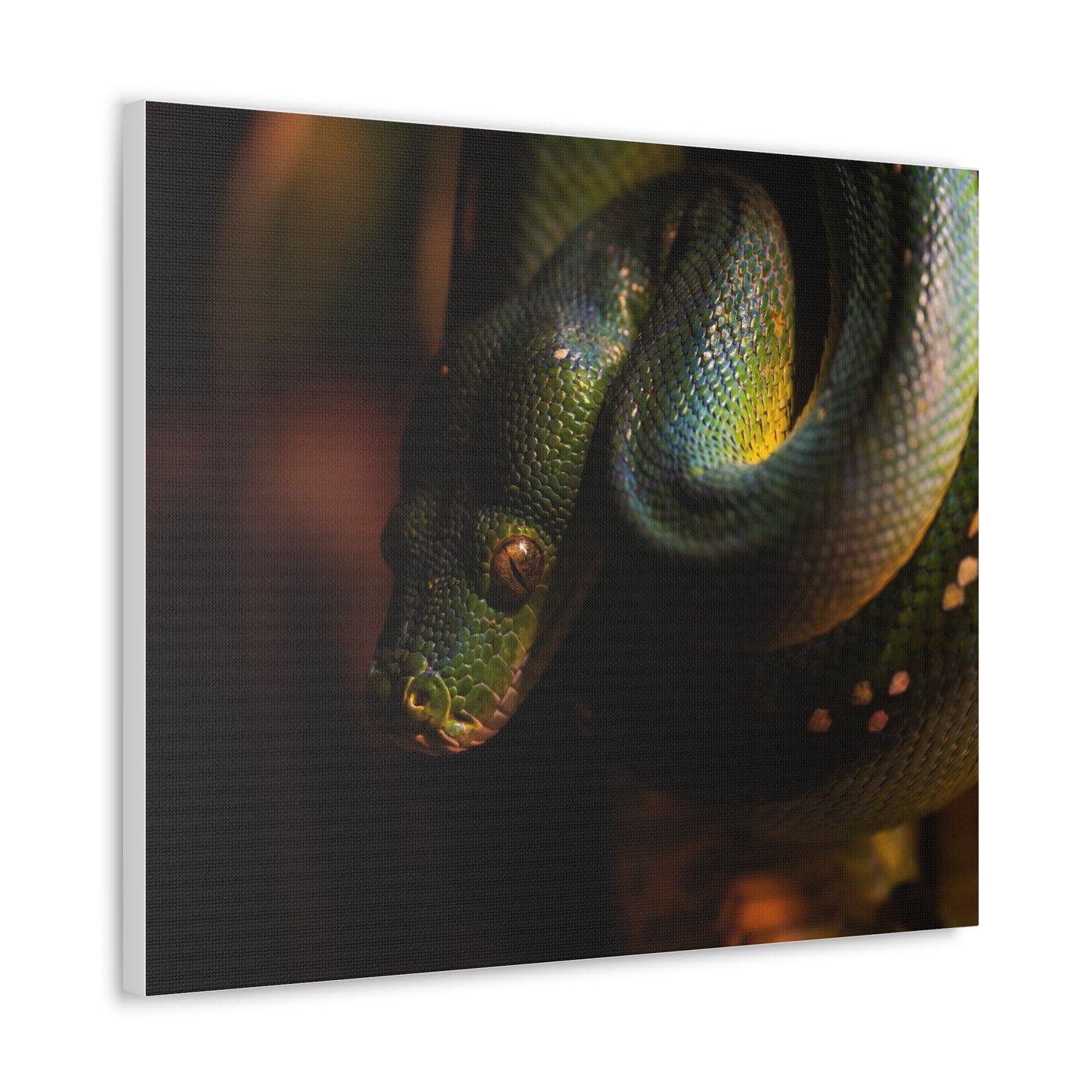 Snake #2 Canvas