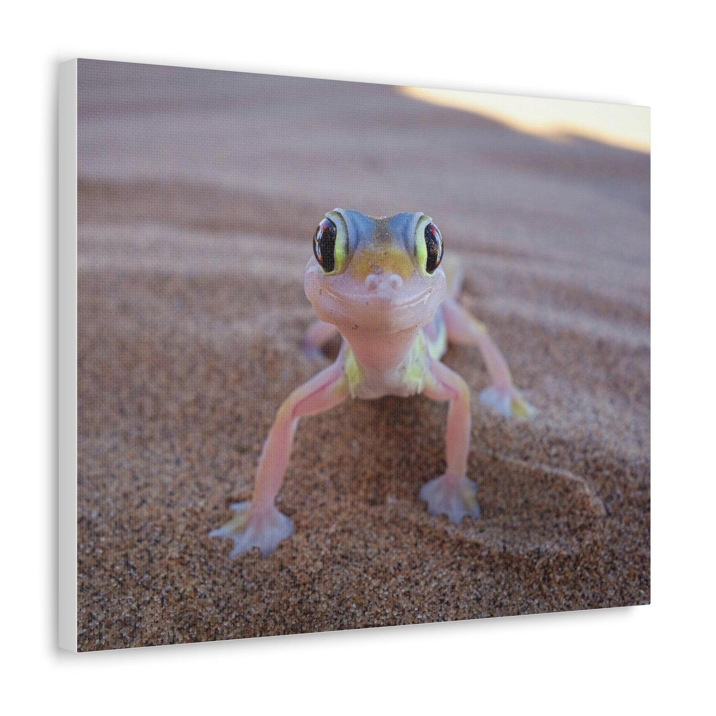 Baby Gecko Canvas