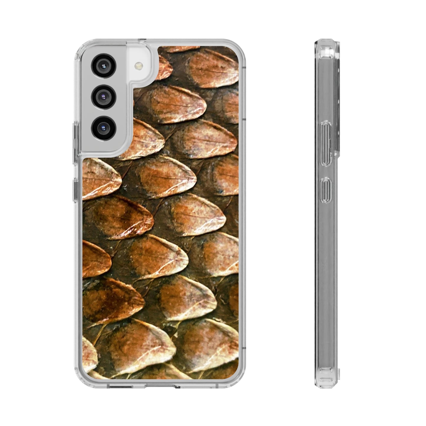 Bearded Dragon Phone Cases