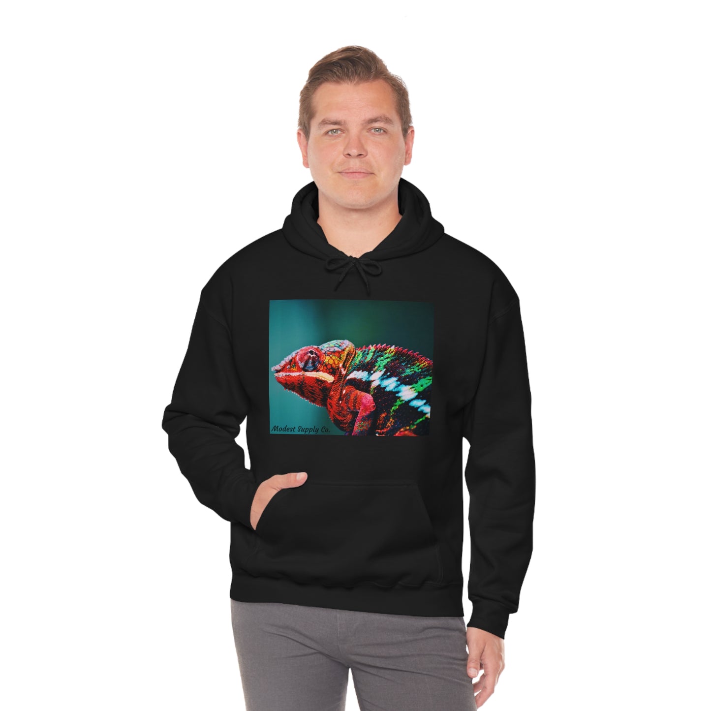 Chameleon Hoodie