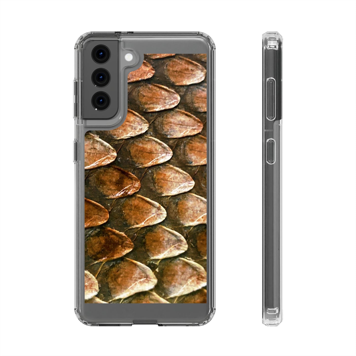 Bearded Dragon Phone Cases