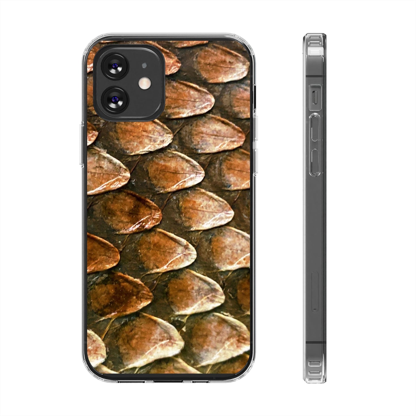 Bearded Dragon Phone Cases