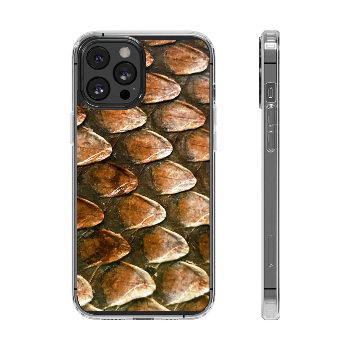 Bearded Dragon Phone Cases