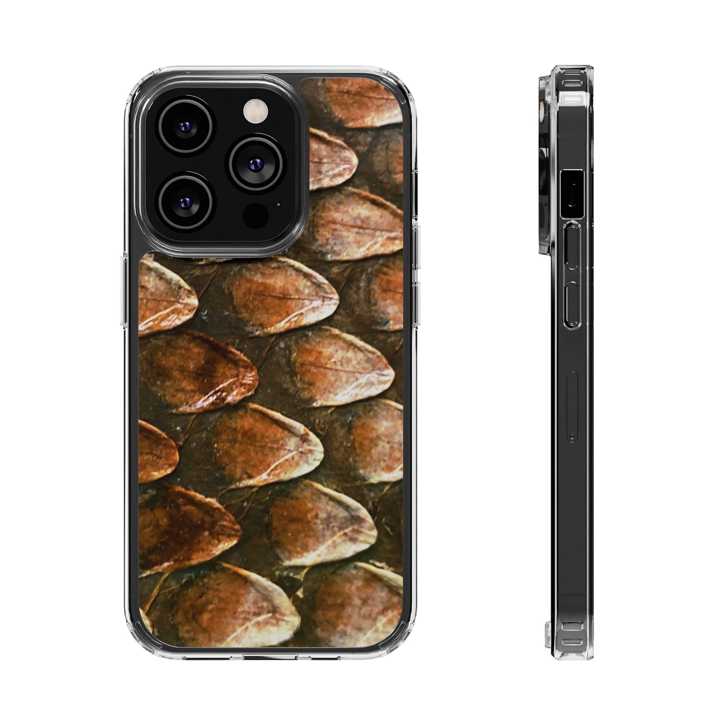 Bearded Dragon Phone Cases