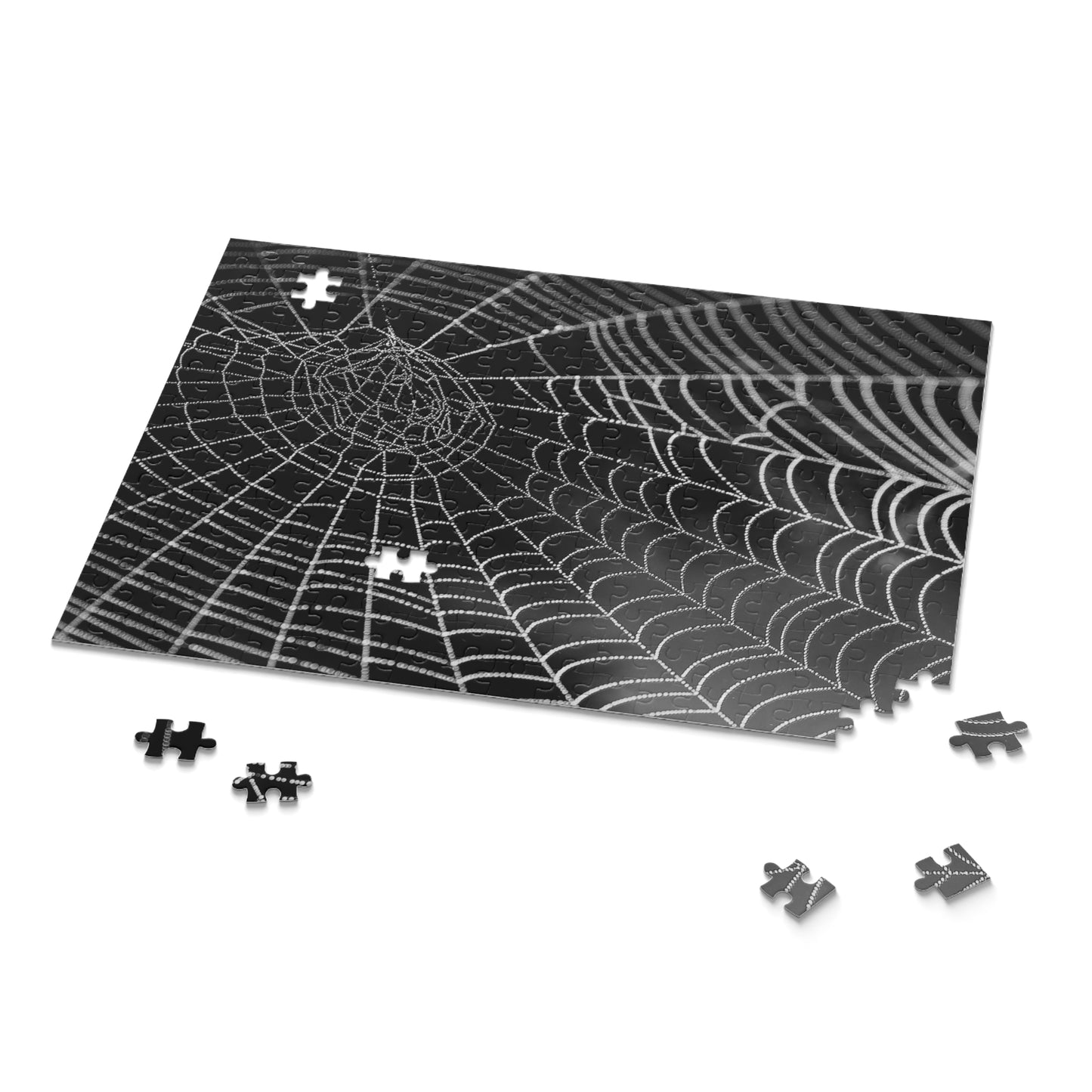 Spider Web Puzzle