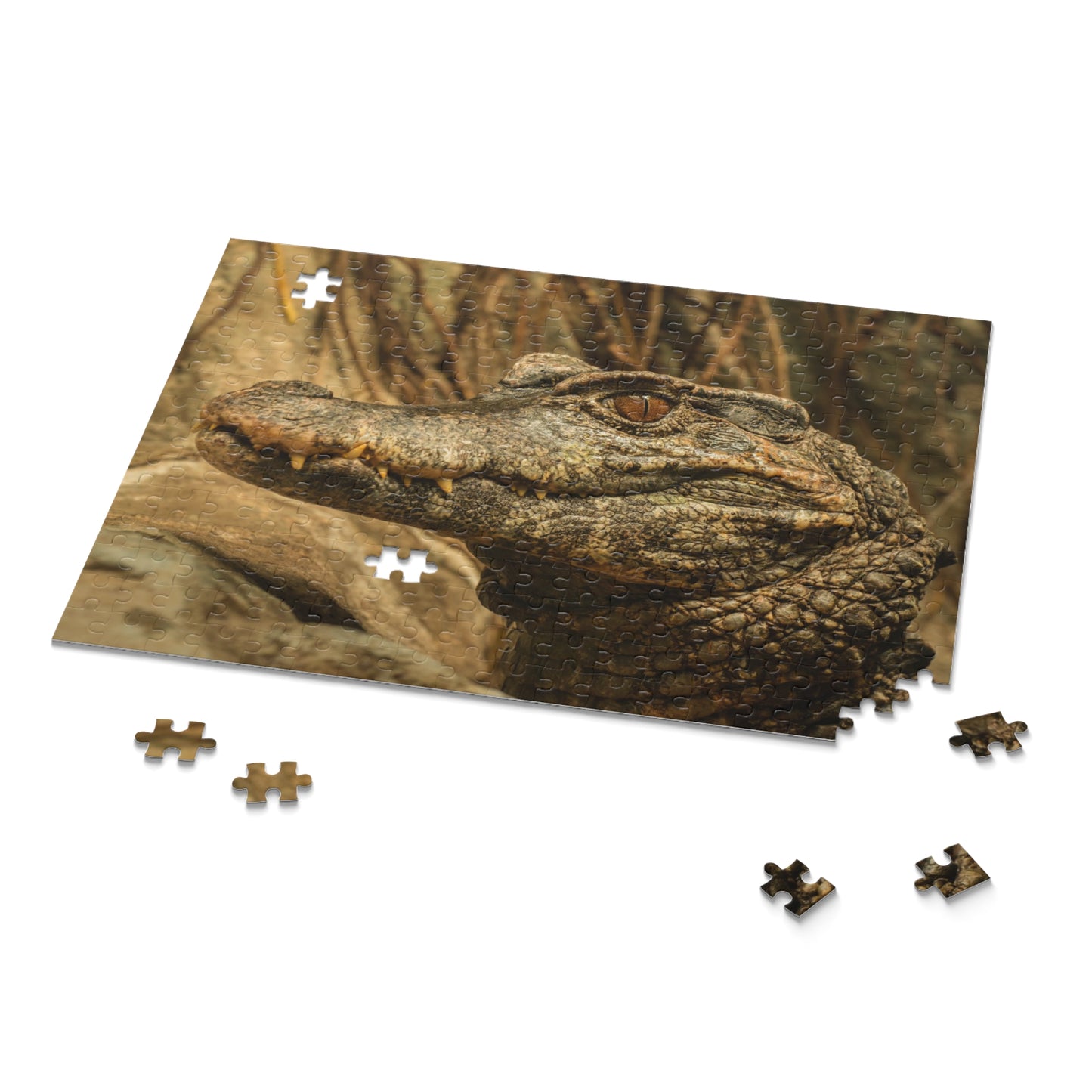 Alligator Puzzle