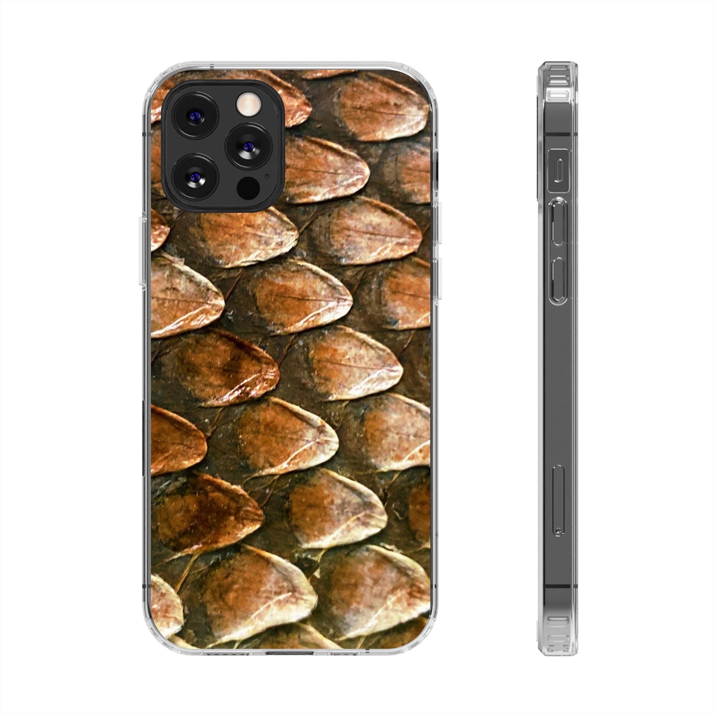 Bearded Dragon Phone Cases