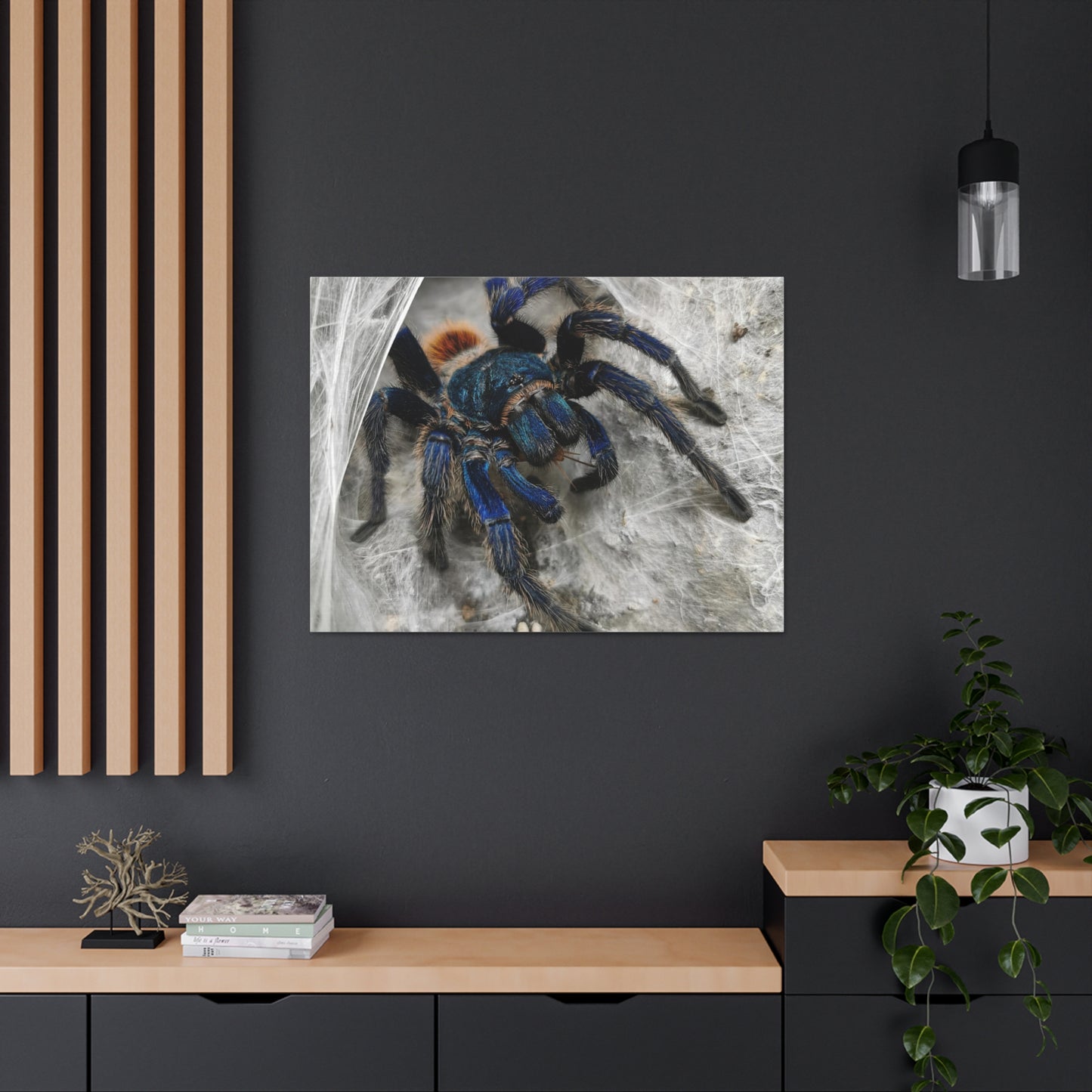 Tarantula Canvas