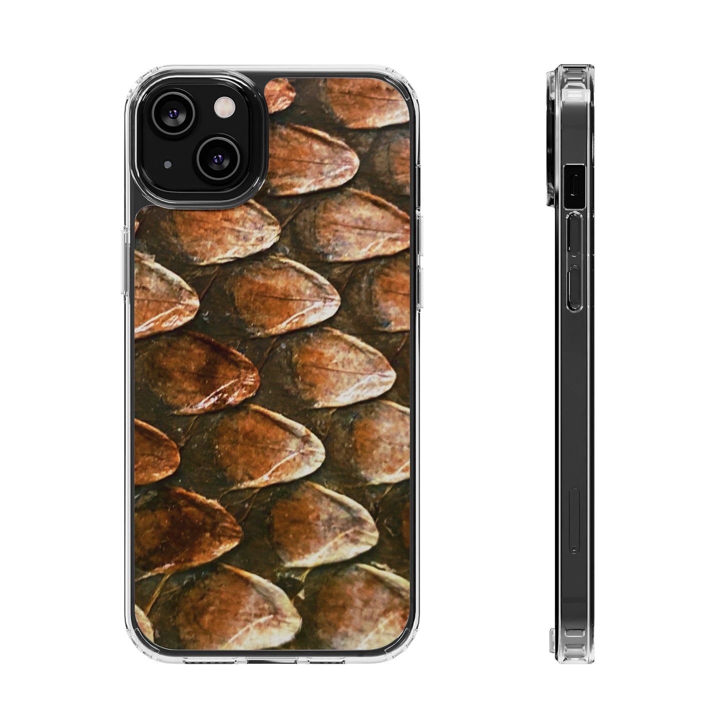 Bearded Dragon Phone Cases