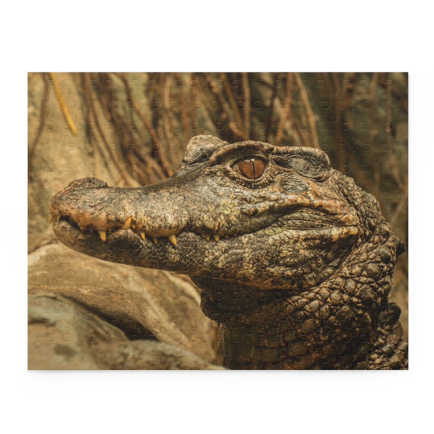 Alligator Puzzle