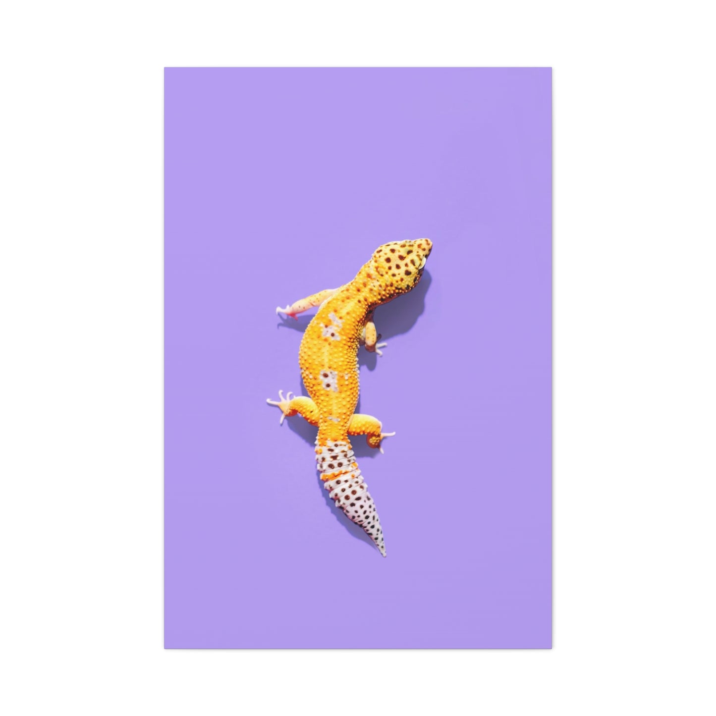 Leopard Gecko Canvas