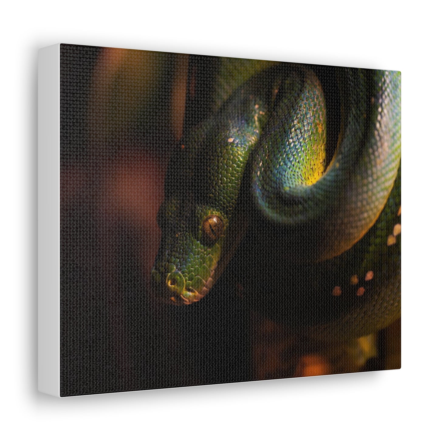 Snake #2 Canvas