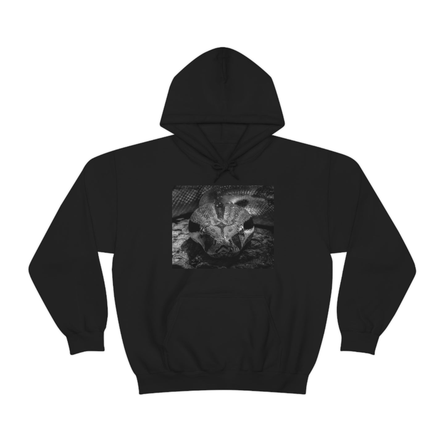 Snake Hoodie