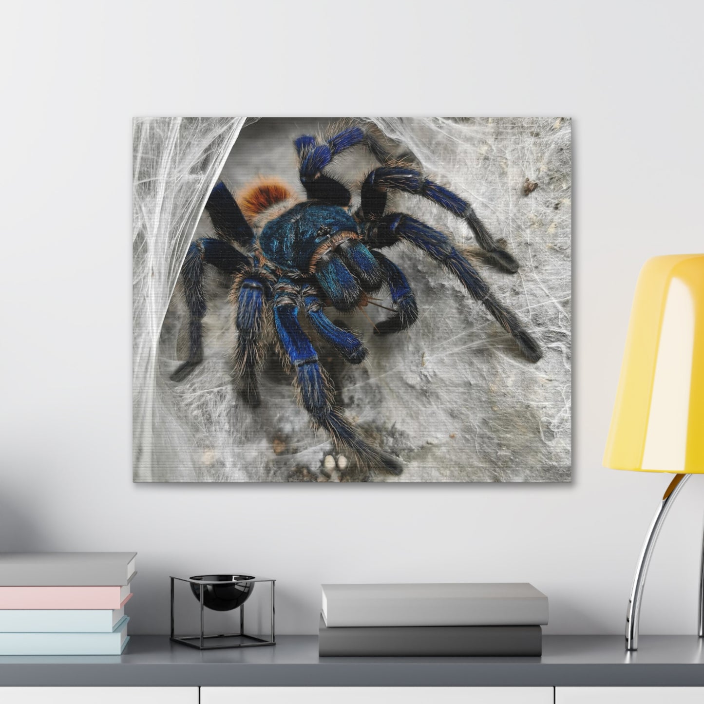 Tarantula Canvas