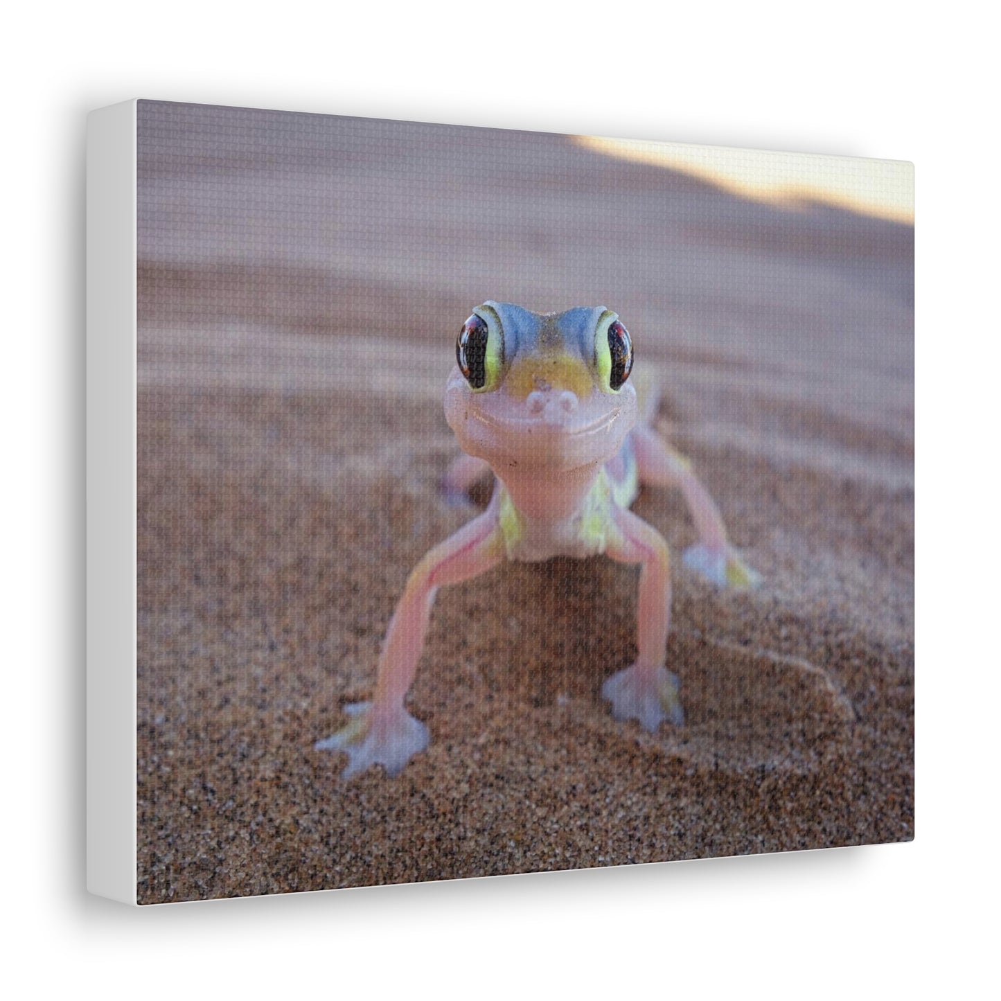 Baby Gecko Canvas