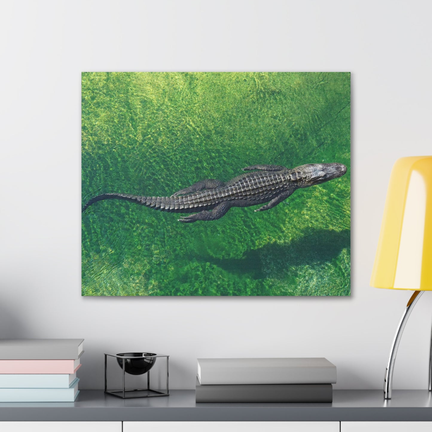 Alligator Canvas