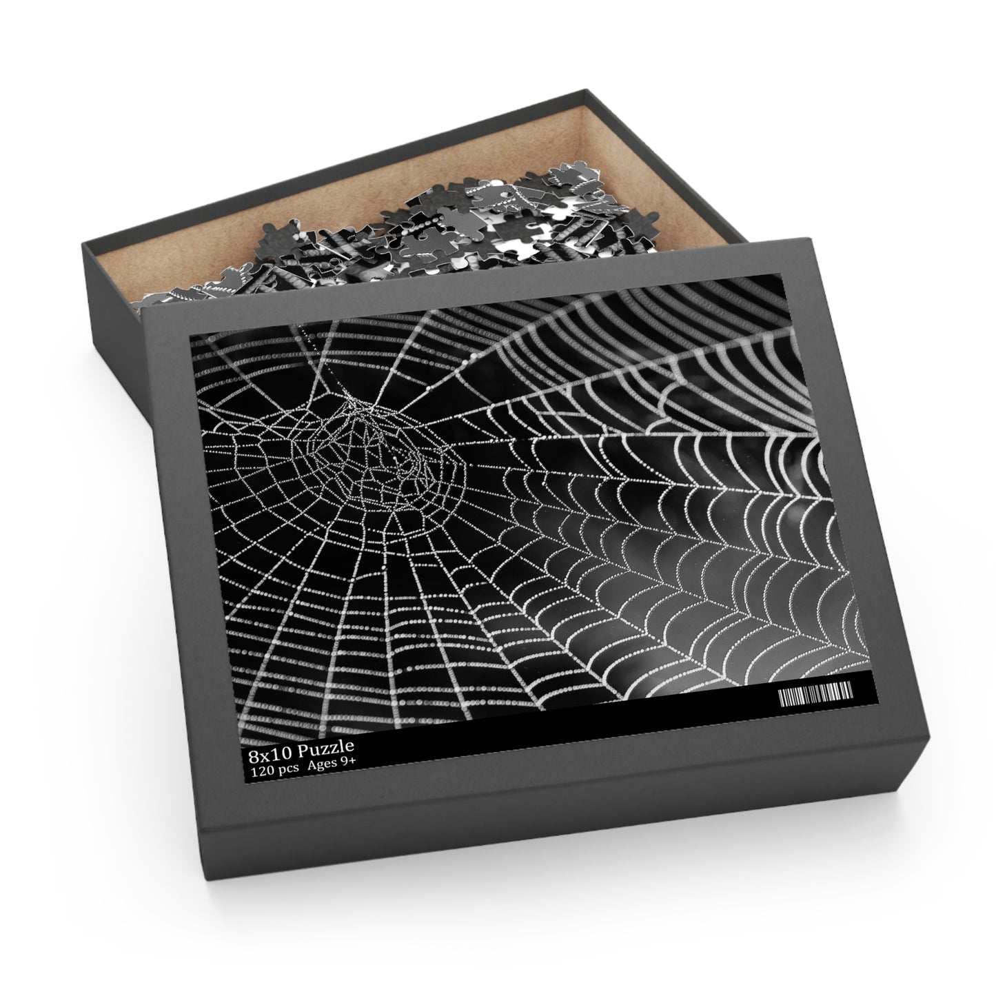 Spider Web Puzzle