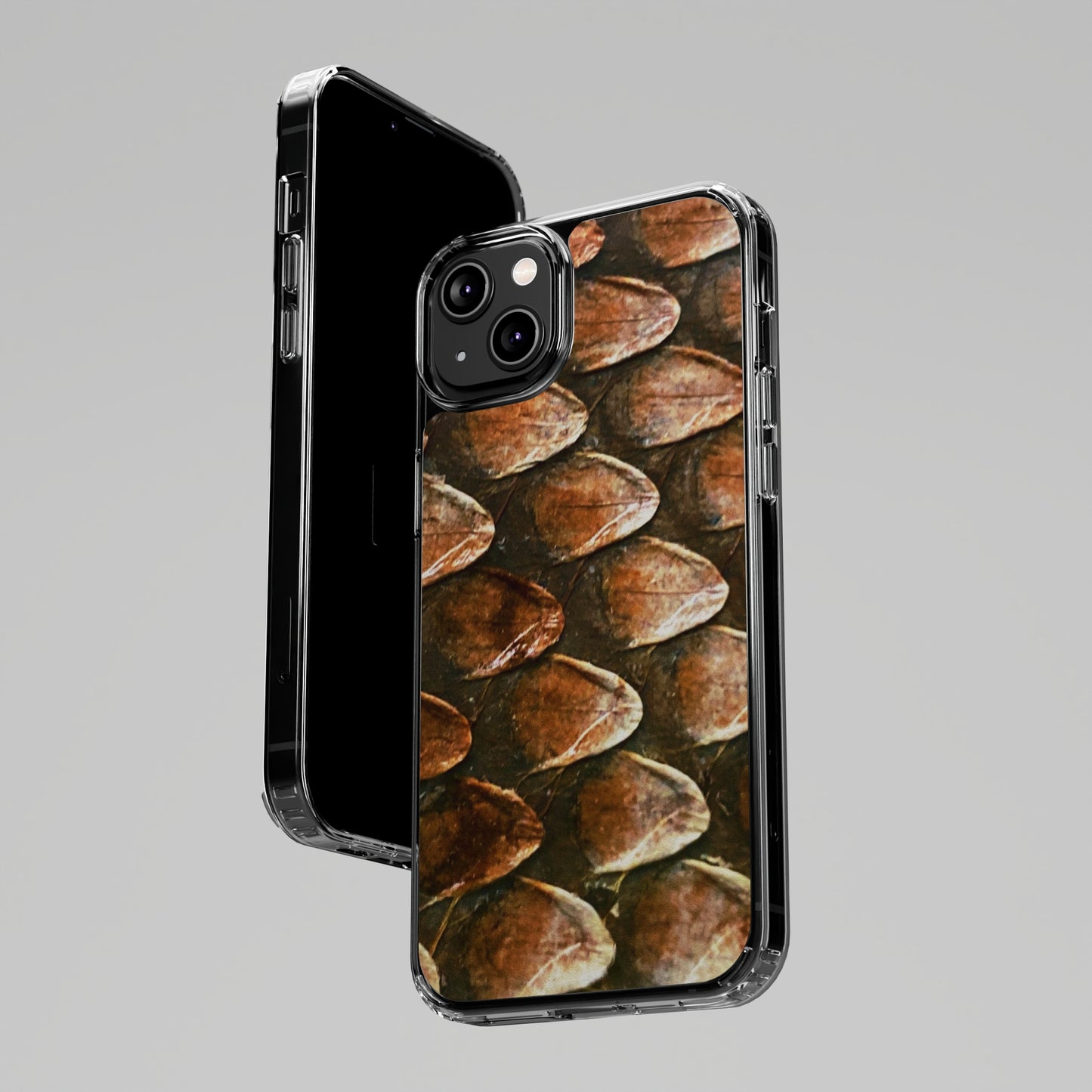 Bearded Dragon Phone Cases