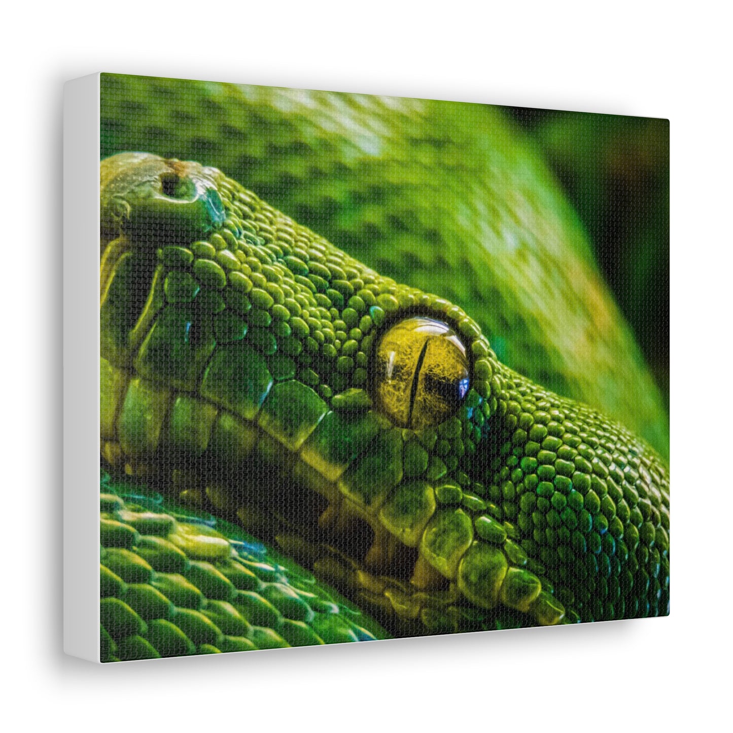 Green Snake Canvas