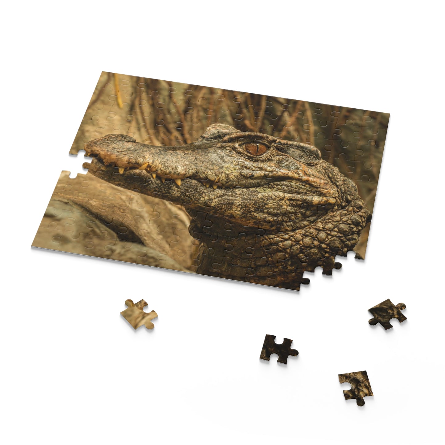 Alligator Puzzle