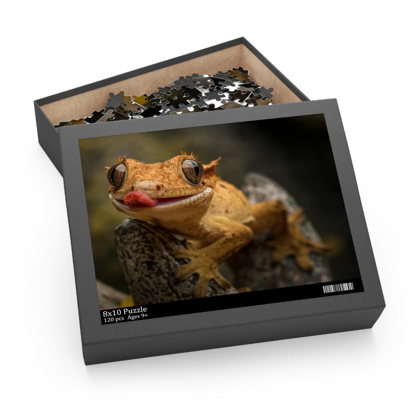 Crested Gecko Puzzle