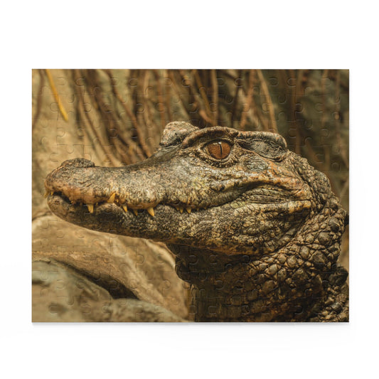 Alligator Puzzle